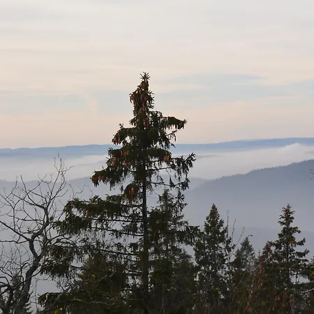 Skjerdingen Hoyfjellshotel I Ringebu 3* Ringebu Ostfjell