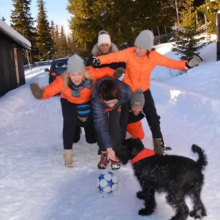 Skjerdingen Hoyfjellshotel I Ringebu 3*