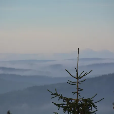 Skjerdingen Hoyfjellshotel I Ringebu ホテル 3*
