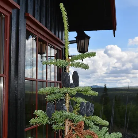 Skjerdingen Hoyfjellshotel I Ringebu ホテル