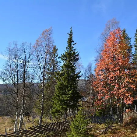 Skjerdingen Hoyfjellshotel I Ringebu ホテル