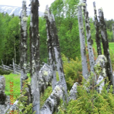 ホテル Skjerdingen Hoyfjellshotel I Ringebu 3*