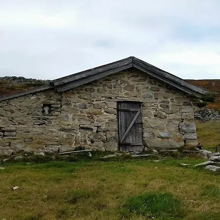 Skjerdingen Hoyfjellshotel I Ringebu 3*